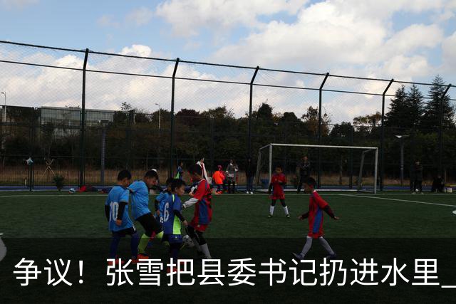 争议！张雪把县委书记扔进水里 网友：接地气 普通人敢扔一个试试？