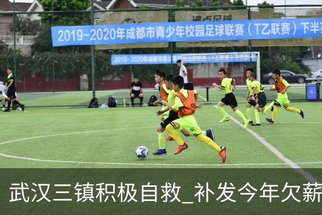 武汉三镇积极自救 补发今年欠薪 准入大概率会解决